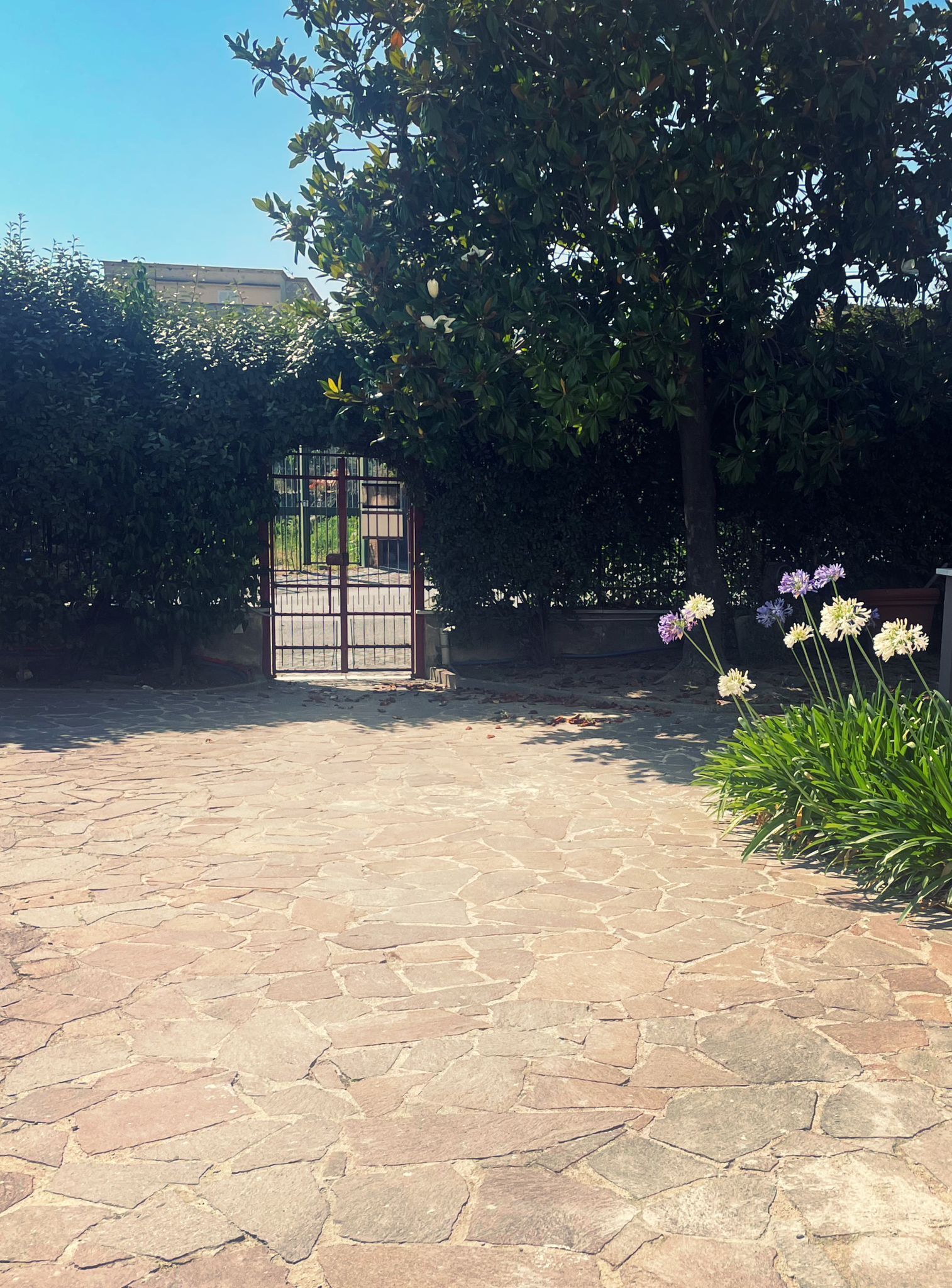 Un patio empedrado con una reja de metal, rodeado de abundante vegetación y plantas con flores.