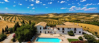 Lemon Tree Retreat at El Amparo