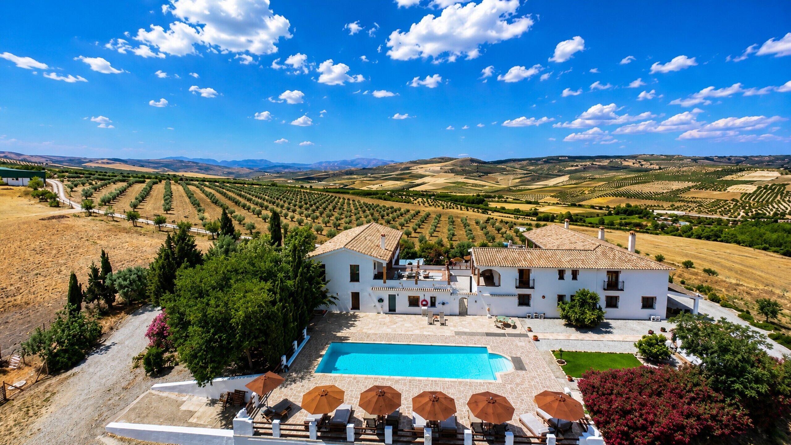 Una villa con piscina, immersa tra uliveti e con vista sulle montagne.