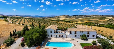Una villa con piscina, rodeada de olivares y con montañas al fondo.