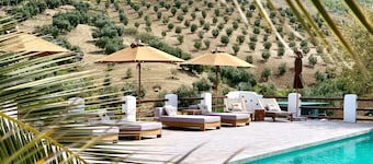 Lemon Tree Retreat at El Amparo