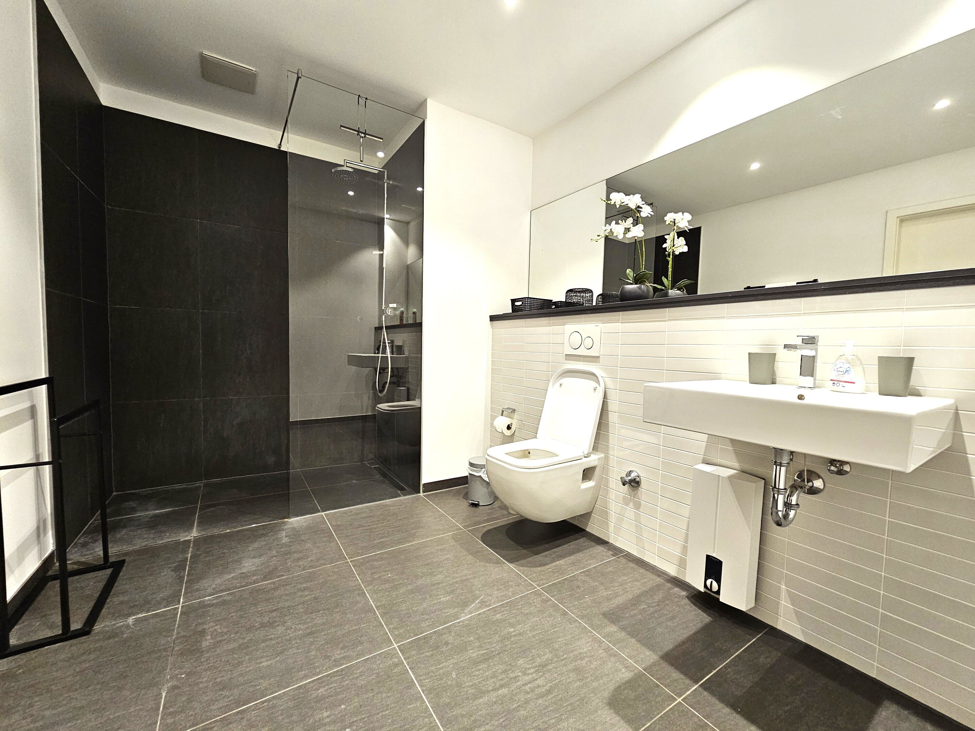 Deluxe Apartment | Bathroom | Free toiletries, hair dryer, towels