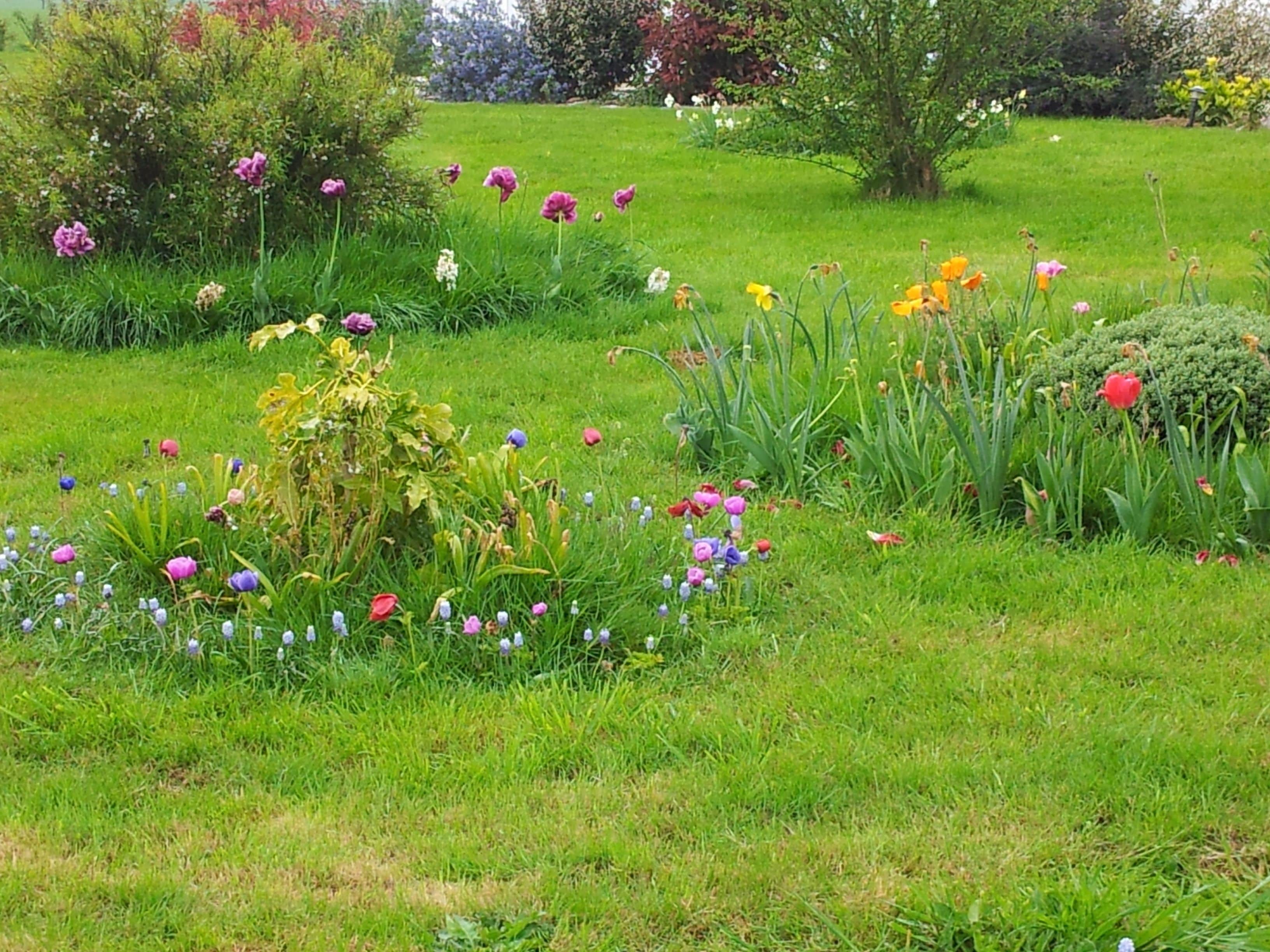 Jardín