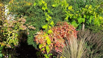 花園