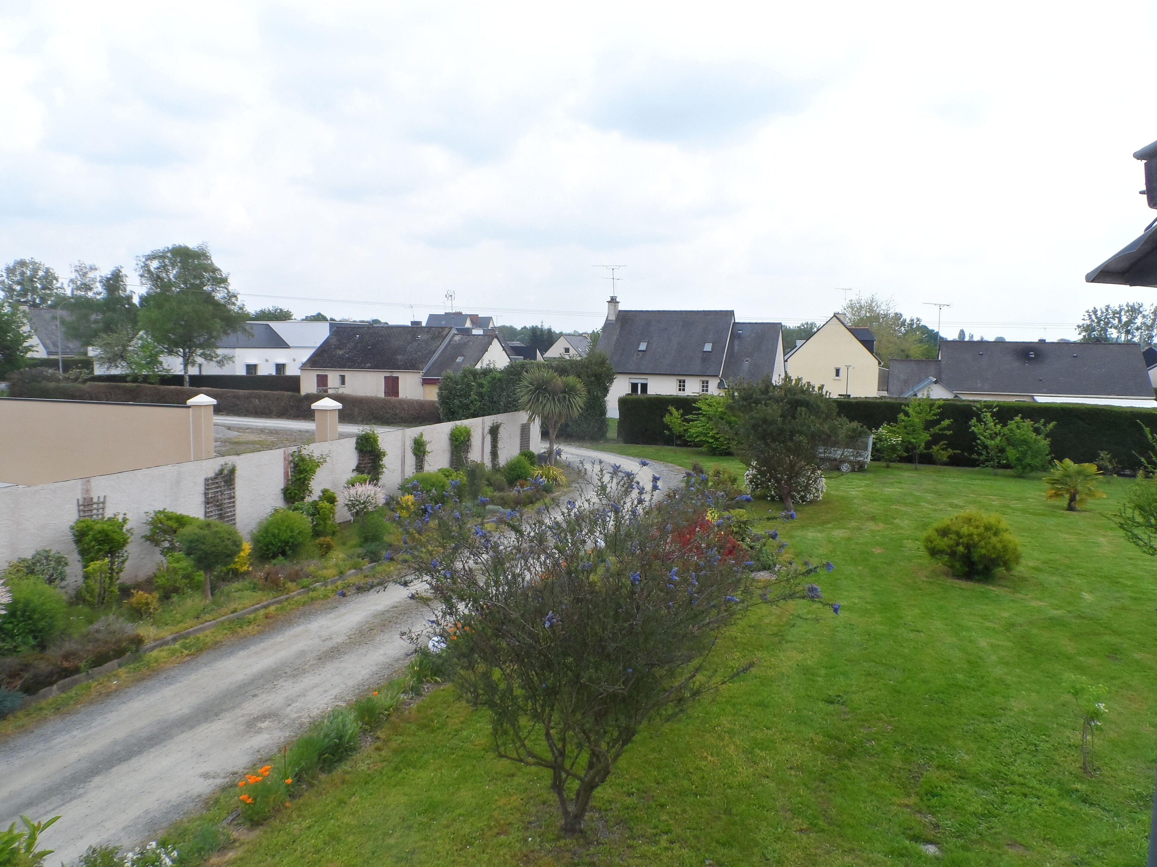 A residential area with houses, a road, and a grassy area with flowers.