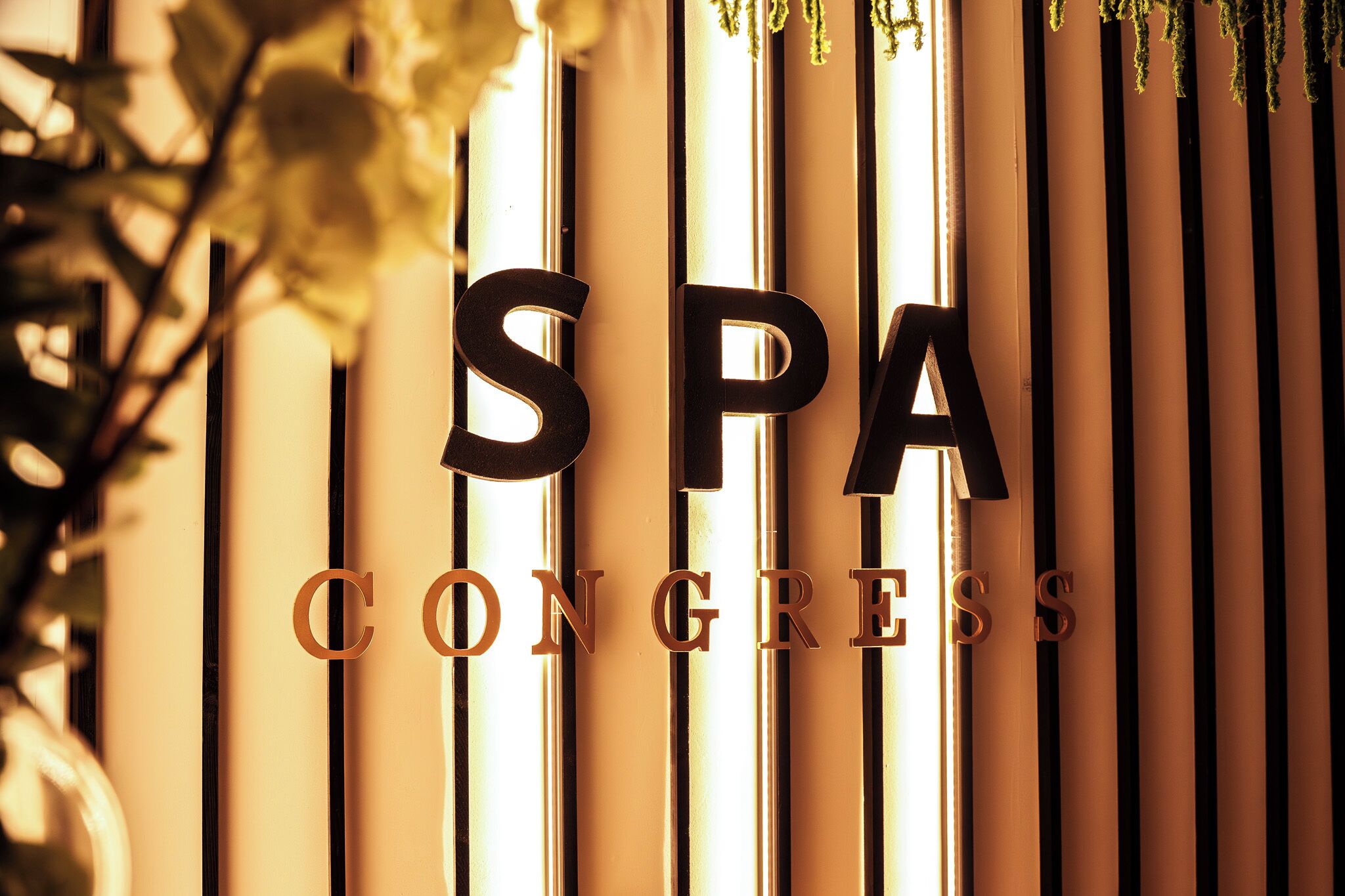 sauna, steam room, turkish bath/hammam, body treatments, hydrotherapy