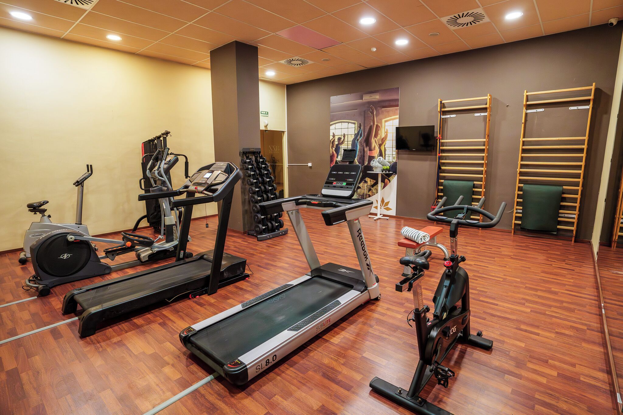 A gym with treadmills, stationary bikes, and dumbbells.