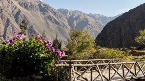 Vue sur les montagnes