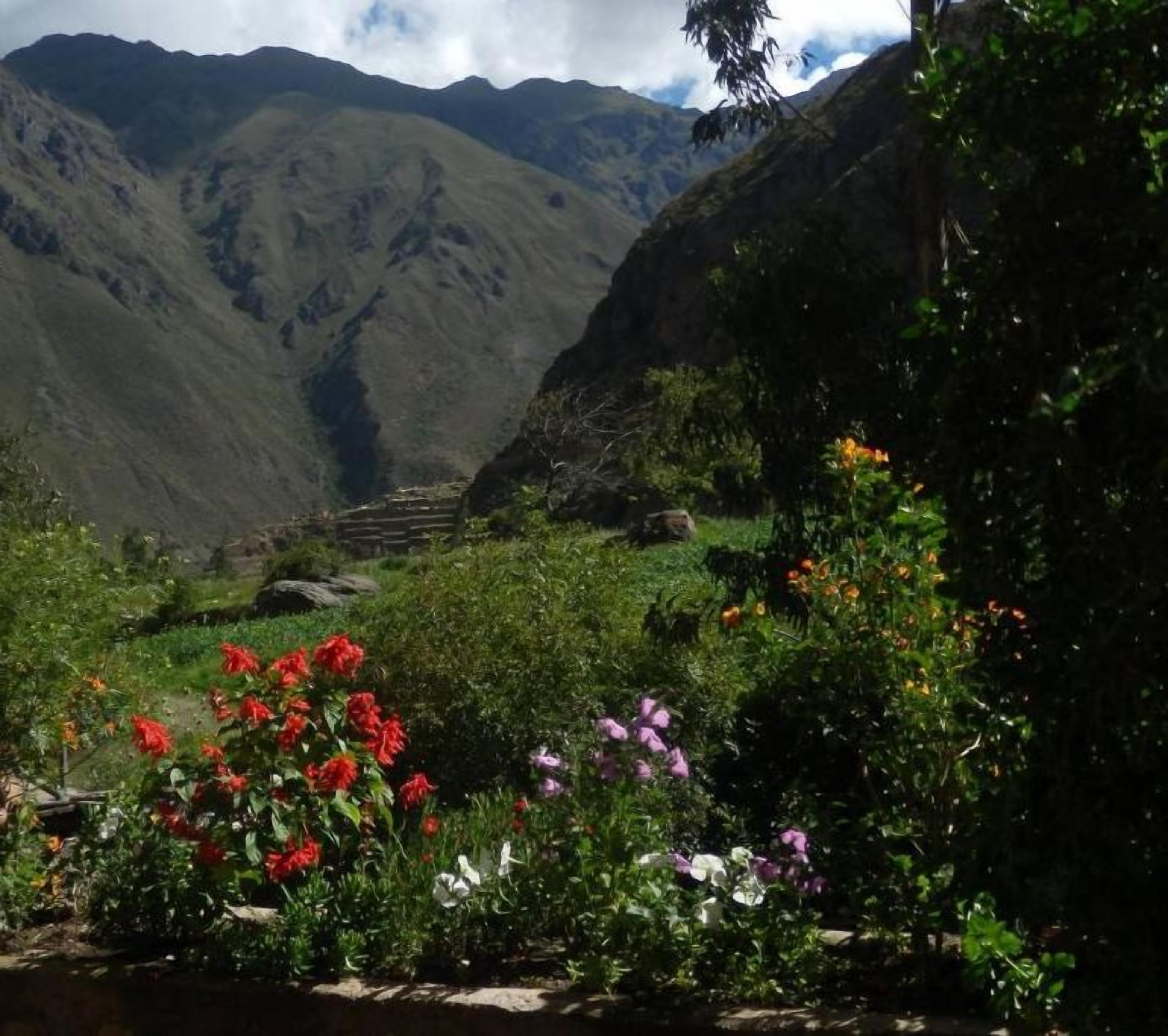 A mountainous landscape with a garden in the foreground featuring various flowers.