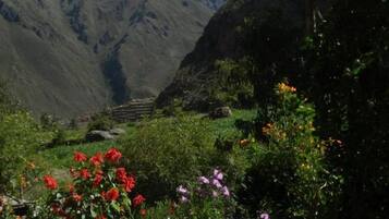 Paisaje montañoso con un jardín en primer plano que presenta diversas flores.