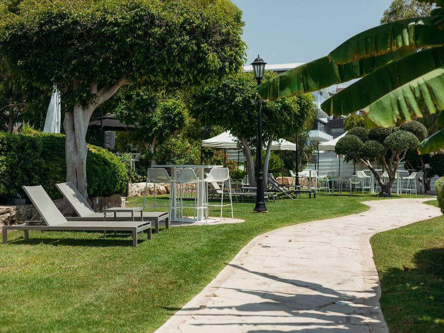 Un sendero conduce a una zona de estar al aire libre con sillones y mesas, rodeada de vegetación y un cielo despejado.