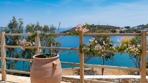 A terracotta pot with a plant on a balcony overlooking a coastal view. - Allotina Houses (Patmos)