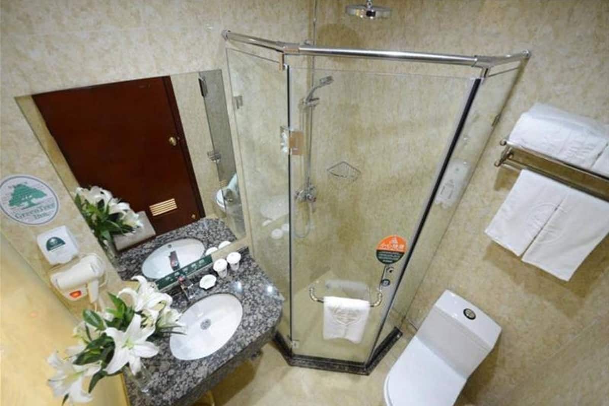 Shower, free toiletries, hair dryer, slippers