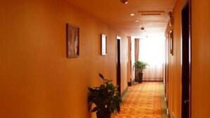 A hotel hallway with a carpeted floor, a potted plant, and framed pictures on the walls.