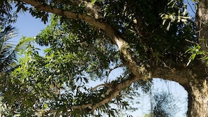 Un panneau en bois avec une carte et un texte indiquant « Pousada Recanto dos Lima ».