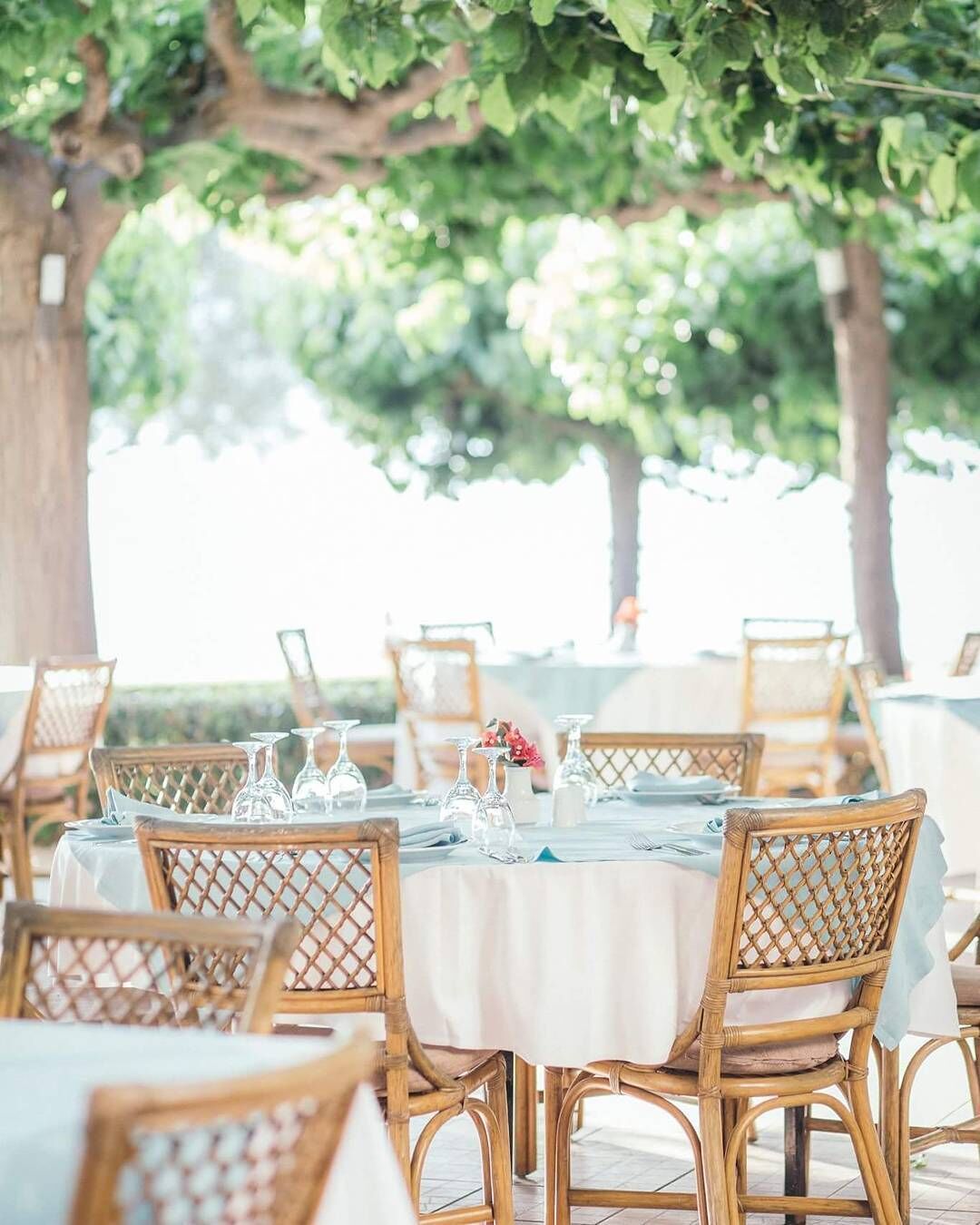 An outdoor dining area with round tables and wicker chairs, set under trees.