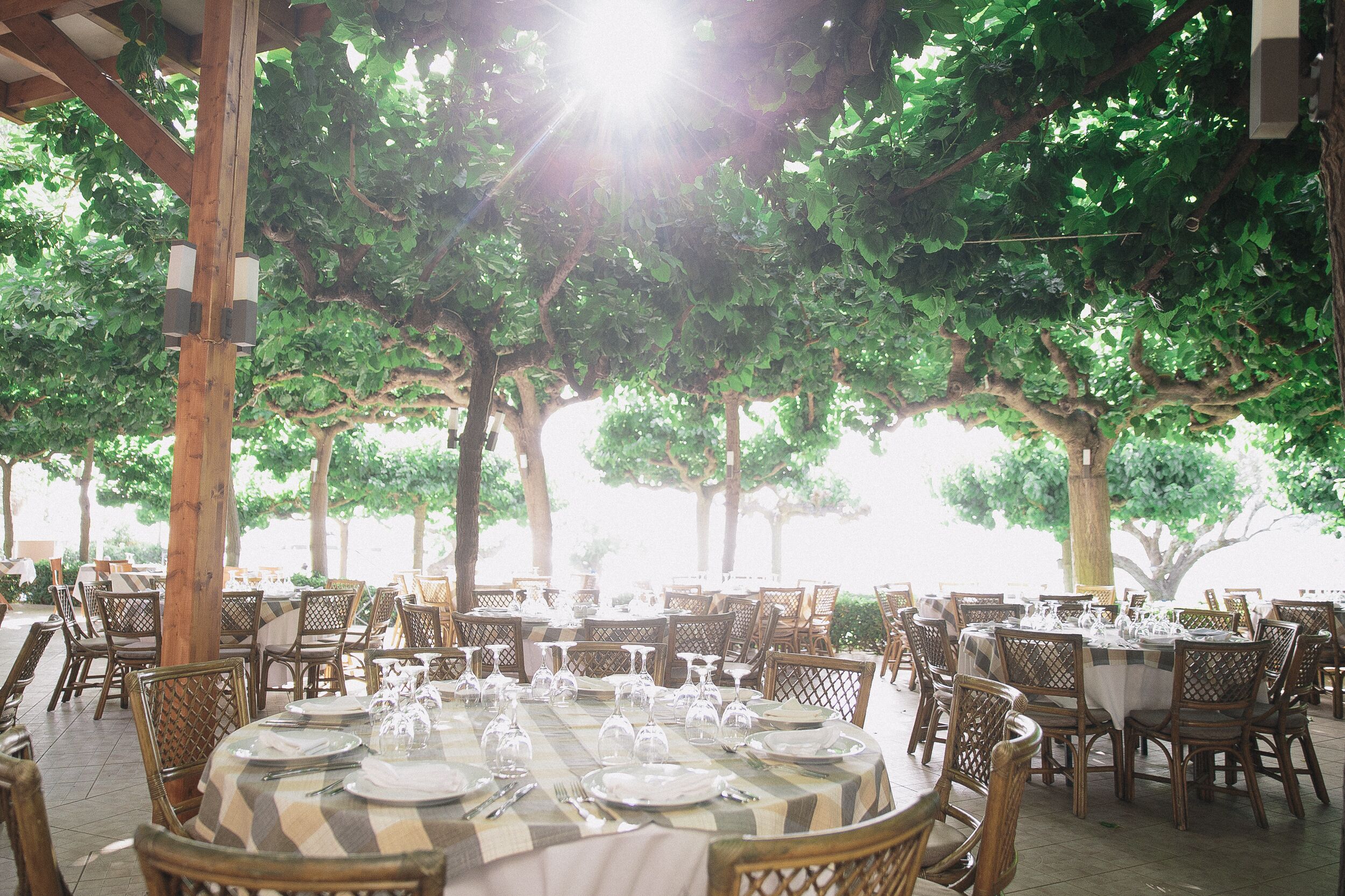 breakfast, lunch, dinner served; greek cuisine