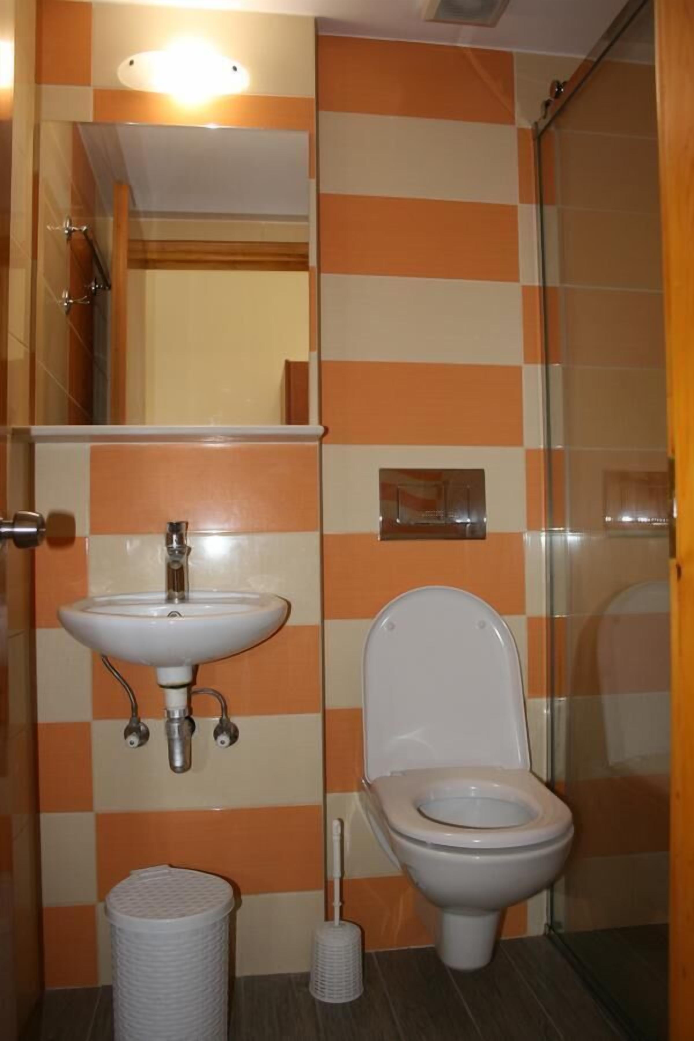 A bathroom with a sink, toilet, and a mirror.