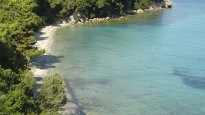 A coastal area with clear water, rocky shoreline, and dense greenery. - Oasis (Corfu)