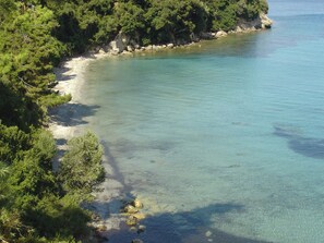 A coastal landscape with clear water, a sandy beach, and dense greenery. - Oasis (Corfu)