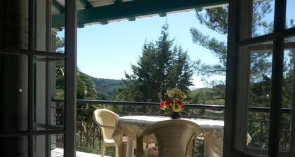 Rigos Apartments