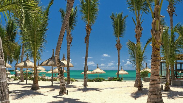 A beach with palm trees and thatched umbrellas.