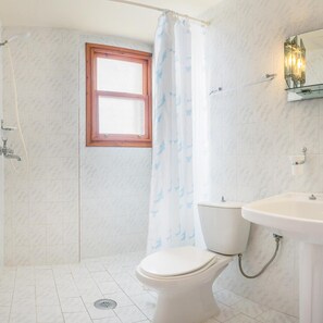 A bathroom with a shower, toilet, and sink. - Yiannis (Karpathos)