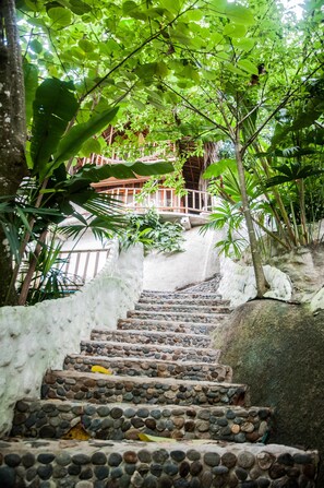 Property grounds - Ecohostal Rio Piedra - Hostel (Santa Marta)