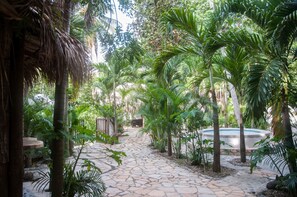 Courtyard - Ecohostal Rio Piedra - Hostel (Santa Marta)