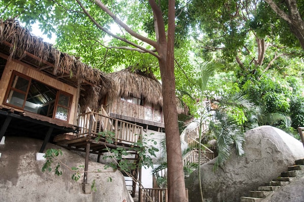 Interior - Ecohostal Rio Piedra - Hostel (Santa Marta)