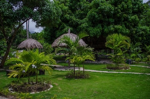 Jardines del alojamiento