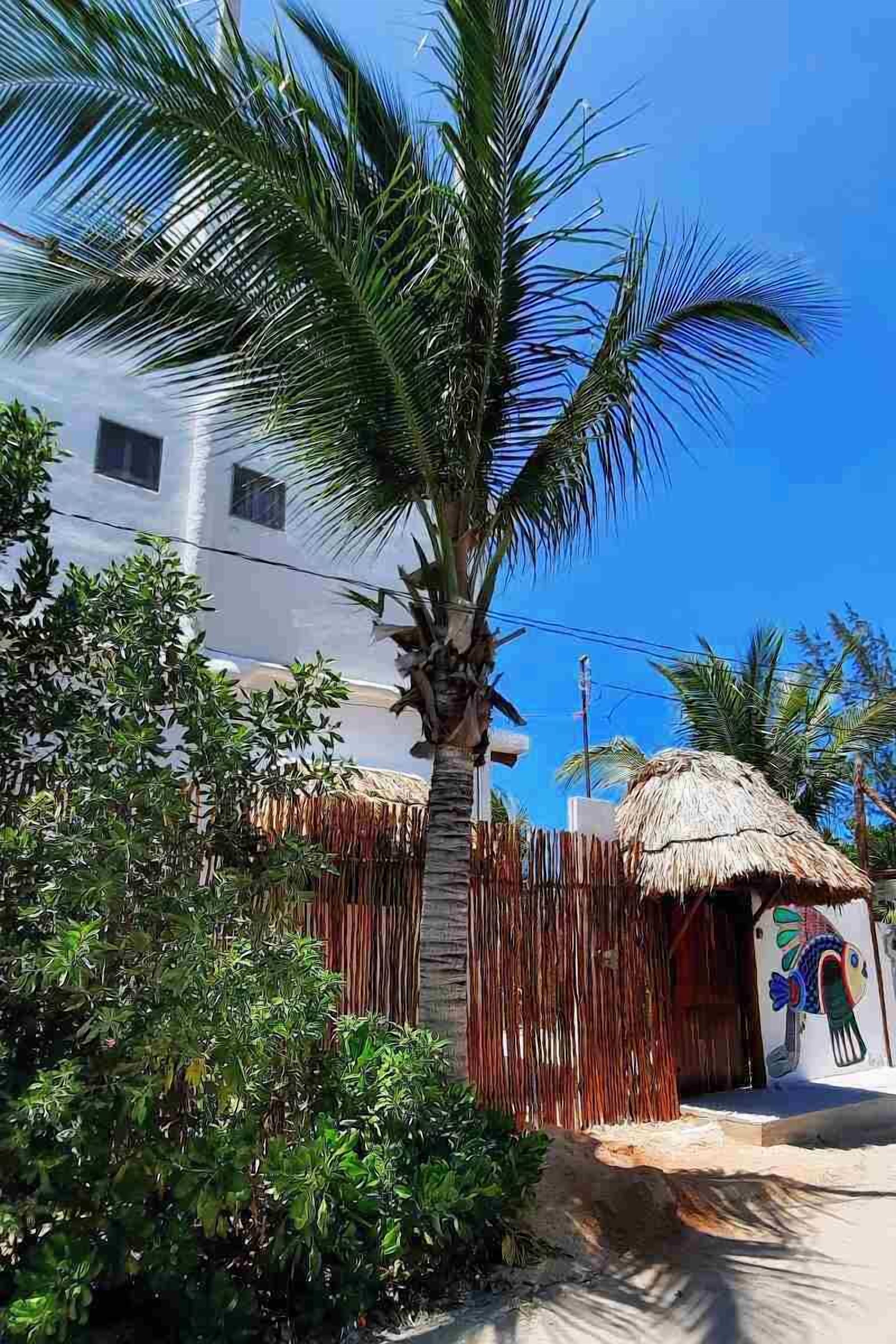 Foto - Casa Sofia Holbox