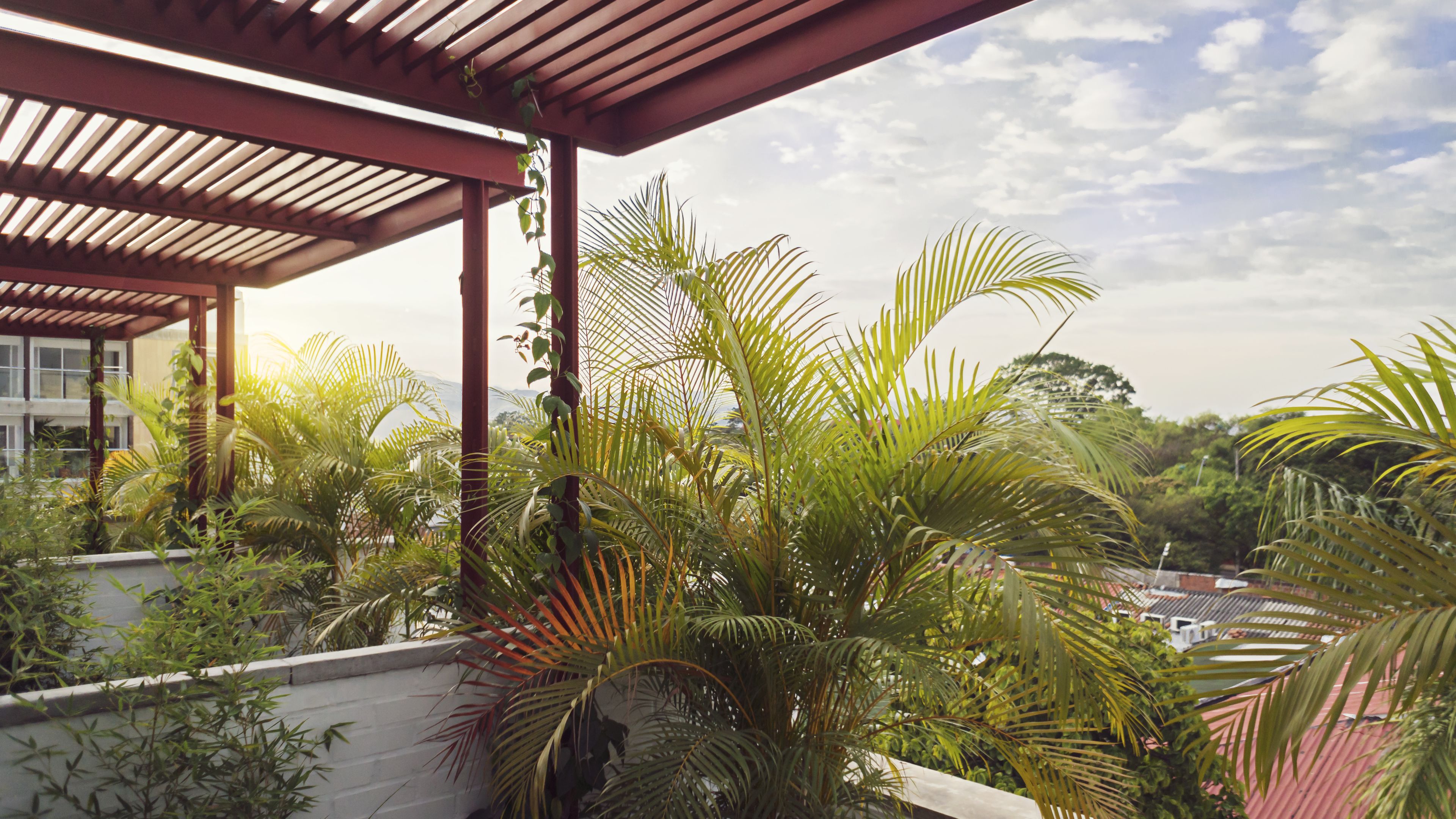 superior room | balcony view