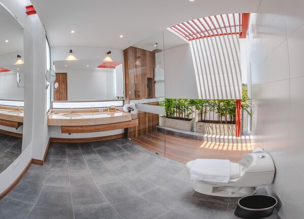 Free toiletries, hair dryer, towels, soap