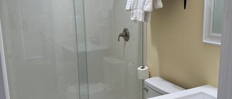A modern bathroom with a glass-enclosed shower, a toilet, and a sink.