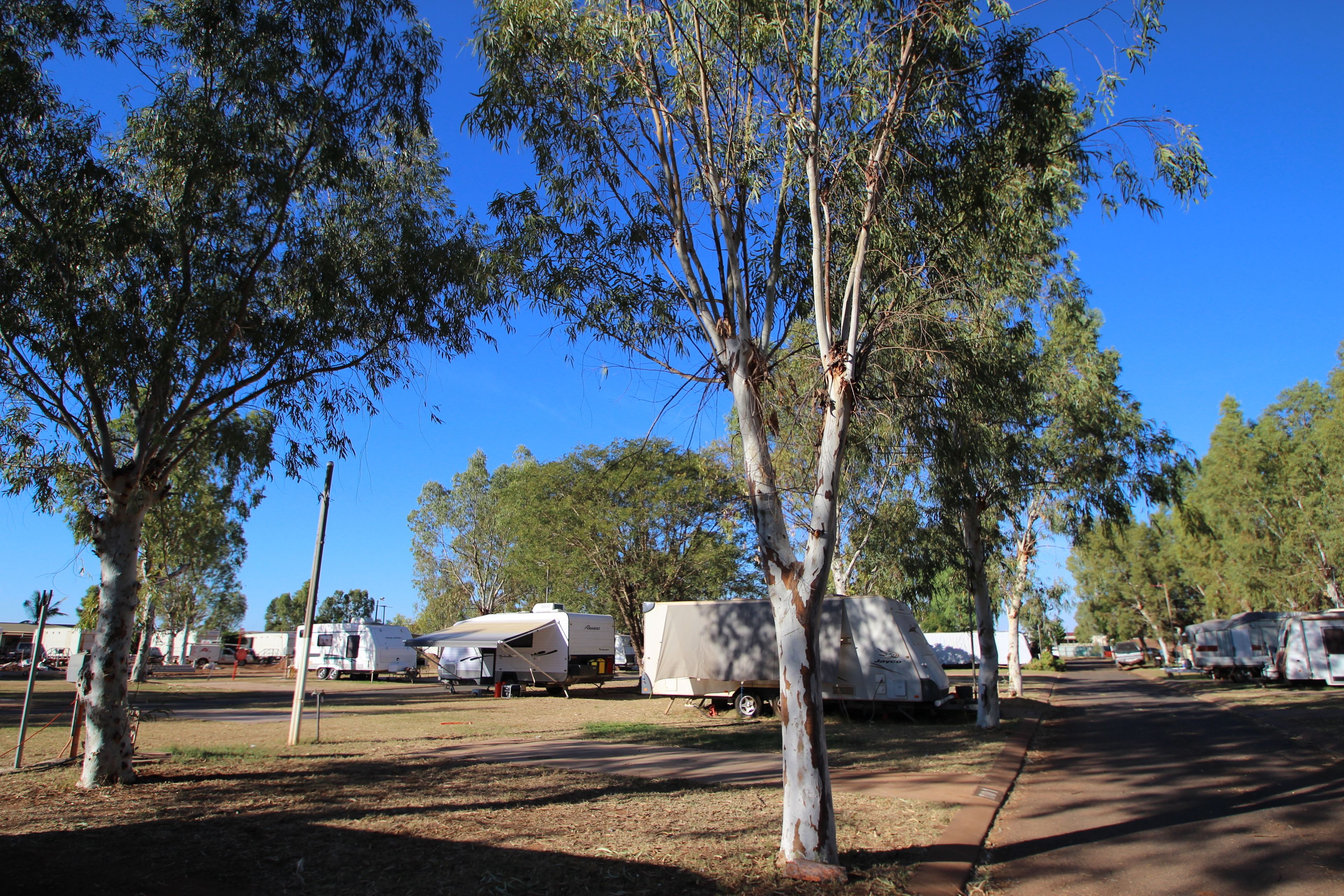 A campground with RVs and trailers parked among trees.