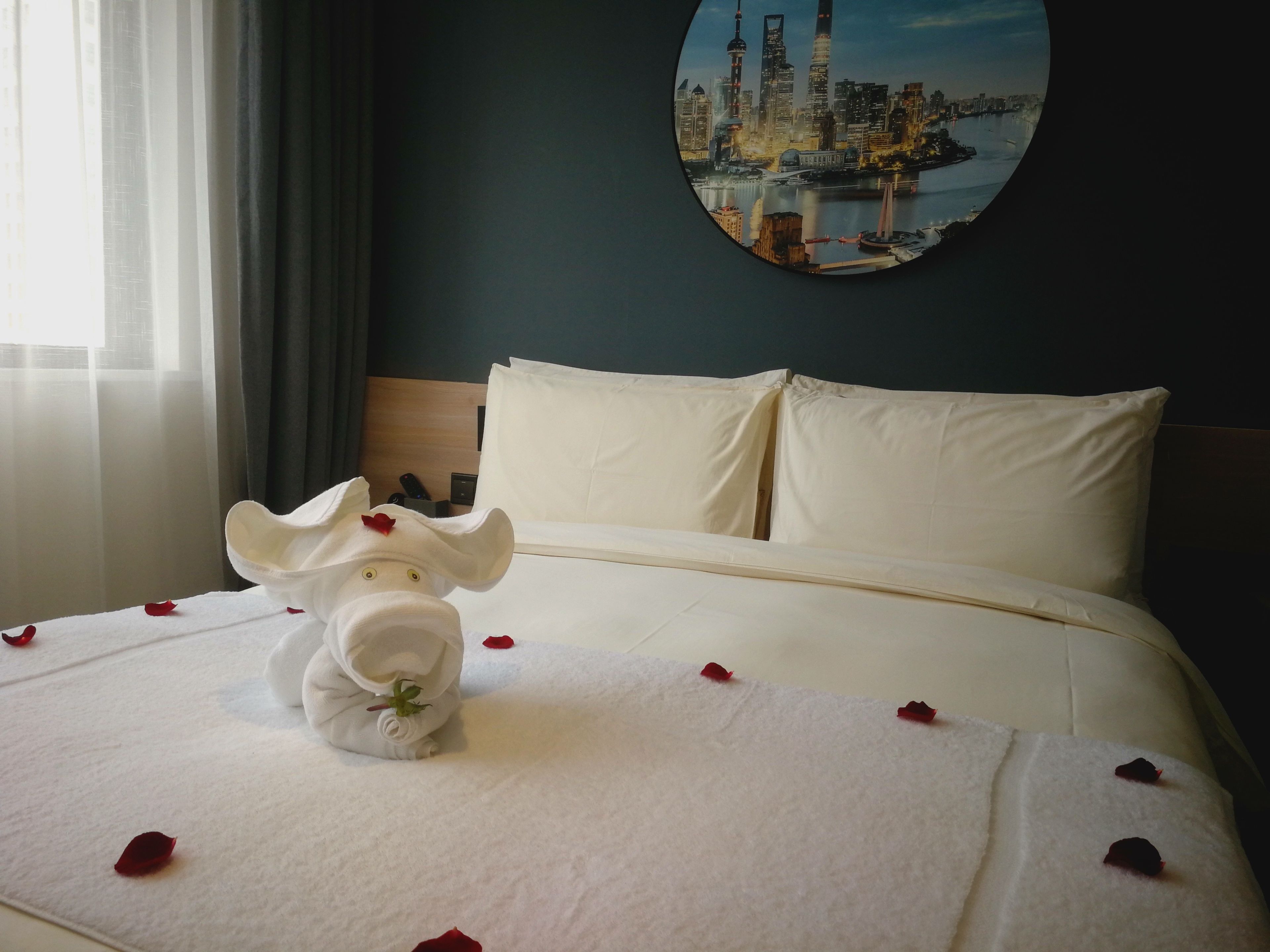 superior room | free wifi