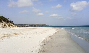 A beach with white sand and gentle waves. There is a hill with sparse vegetation in the background. - Studio on a farm near the sea (Siniscila)