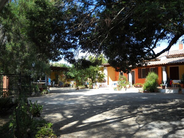 A courtyard with a paved area, surrounded by potted plants and trees. - Studio on a farm near the sea (Siniscila)