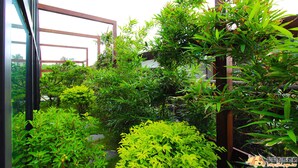 A lush garden with various green plants and a wooden structure. - Water Ripple B&B (Shoufeng)