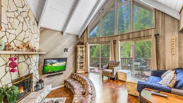 Una Smart TV, una chimenea, un reproductor de DVD, libros