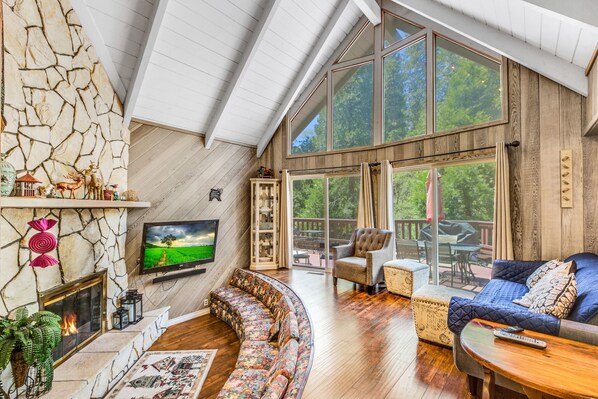 TV connectée, cheminée, lecteur de DVD, livres