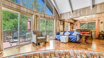 Una Smart TV, una chimenea, un reproductor de DVD, libros