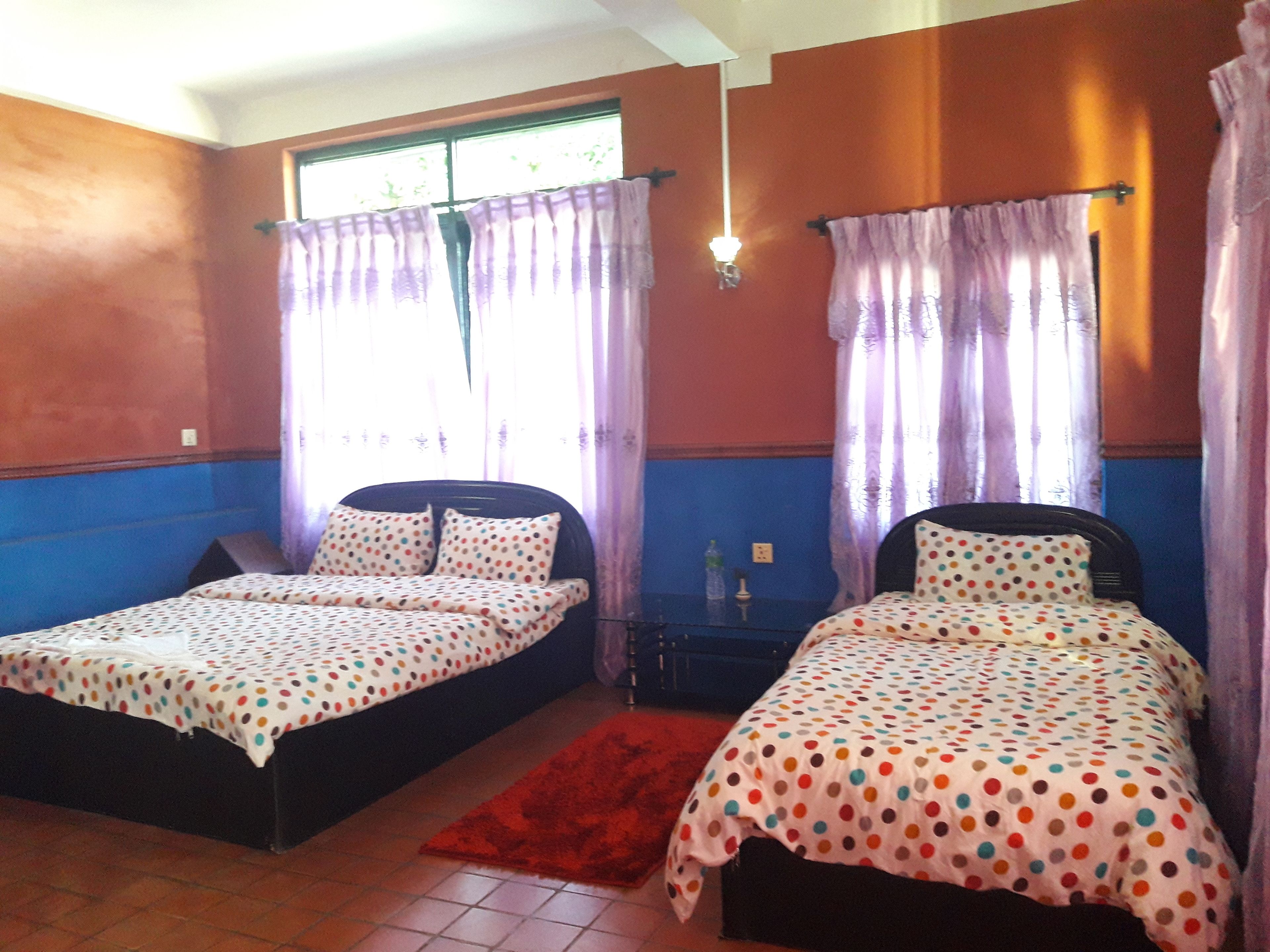 Une chambre avec deux lits, chacun recouvert d’une couvre-lit à pois, un tapis rouge et une fenêtre ornée de rideaux violets.