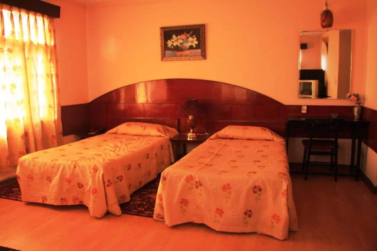 A room with two single beds, a wooden headboard, a small table with a lamp, a mirror, and a vase with flowers on the wall.