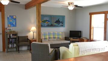 Smart TV, fireplace, DVD player, books