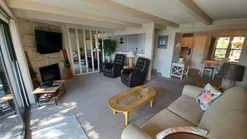 Smart TV, fireplace, DVD player, books