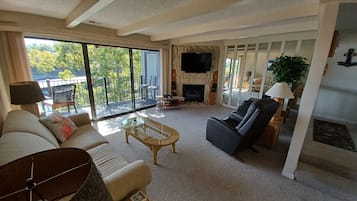 Smart TV, fireplace, DVD player, books