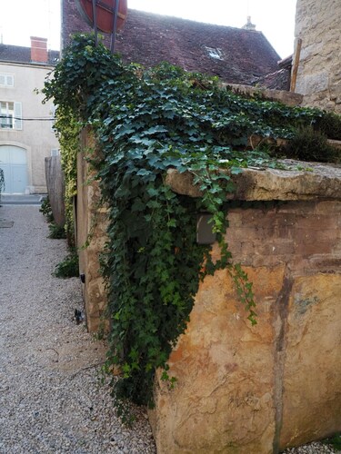 Comfortable loft in village located in the heart of the vineyard 