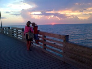 Property grounds - Sandcastle Cottage - Screened Patio - Fenced Yard - Pets OK (Venice)